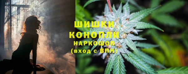 эйфоретик Белоозёрский