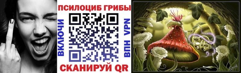 цена   Барнаул  Галлюциногенные грибы Cubensis 