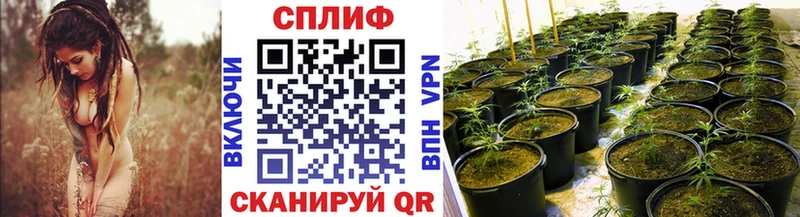 Каннабис MAZAR Барнаул